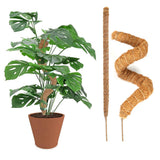 2Pcs Moss Pole Bendable Plant Stakes for Climbing Plants Mossy Rod Plant Support