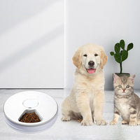 Automatic Pet Feeder 6 Meal Timed Pet Feeder for Cats Small Dogs