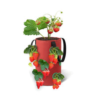 3 Gallon 12-Planting-Hole Grow Bag with Sturdy Hanging Handle Plant Grow Bag for Strawberry Vegetables Red