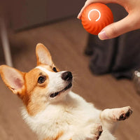 Pet Automatic Rolling Ball Toy Jumping Bouncing Ball Pet Dog Toy Orange