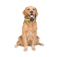 Pet Dog Collar Reflective Pet Collar Pet Dog Accessories Green