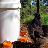 5Pcs Automatic Chicken Waterer Cups Water Feeder for Chicks Duck Goose Orange