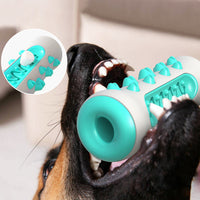 Dog Bone Chew Toy Teeth Cleaning Training Dog Toy Blue