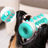 Dog Bone Chew Toy Teeth Cleaning Training Dog Toy Blue