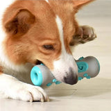 Dog Bone Chew Toy Teeth Cleaning Training Dog Toy Blue