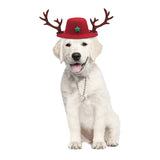 2Pcs Pet Christmas Hats with Reindeer Antlers Festive Christmas Holiday Accessory for Dogs or Cats