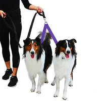 Adjustable Dual Dog Leash No Tangle Coupler Double Pet Puppy Leash Purple