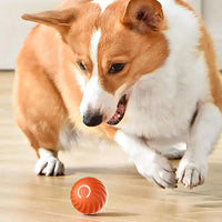 Pet Automatic Rolling Ball Toy Jumping Bouncing Ball Pet Dog Toy Orange