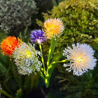 2Pcs 5-Head Solar Dandelion Light Outdoor Flower Garden Decorative Light Landscape Sidewalk Yard Decor