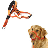 Adjustable Dog Head Collar Training Collar for Long-Snout Dogs Orange