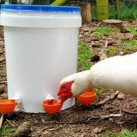 5Pcs Automatic Chicken Waterer Cups Water Feeder for Chicks Duck Goose Orange