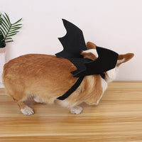 Black Bat Wings Costume Prop Dress Up Halloween Pet Dog Holiday Decor