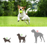 Automatic Ball Launcher Electric Interactive Ball Thrower Pet Dog Fetch Machine Green