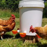 5Pcs Automatic Chicken Waterer Cups Water Feeder for Chicks Duck Goose Orange