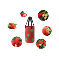 Set of 2Pcs 3 Gallon 12-Planting-Hole Grow Bag with Sturdy Hanging Handle Plant Grow Bag for Strawberry Vegetables Red