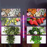 Full Spectrum Plant Grow Lights Adjustable Plant Light with Tripod