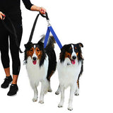 Adjustable Dual Dog Leash No Tangle Coupler Double Pet Puppy Leash Blue