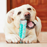 Dog Bone Chew Toy Teeth Cleaning Training Dog Toy Blue