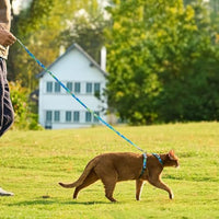 Adjustable Cat Harness and Leash Set Escape Proof Strap for Walking Travel Green