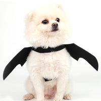 Black Bat Wings Costume Prop Dress Up Halloween Pet Dog Holiday Decor