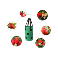 3 Gallon 12-Planting-Hole Grow Bag with Sturdy Hanging Handle Plant Grow Bag for Strawberry Vegetables Green