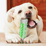 Dog Bone Chew Toy Teeth Cleaning Training Dog Toy Green