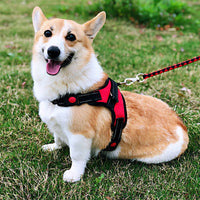 Adjustable Dog Harness No Pull Padded Vest for Small Medium Large Dogs Red