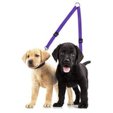 Adjustable Dual Dog Leash No Tangle Coupler Double Pet Puppy Leash Purple