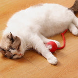 Interactive Cat Toy Ball Fast Rolling Chirping Motion Activate Cat Toy Red