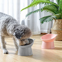 2Pcs Elevated Tilted Cat Dog Pet Bowl Feeder Food Water Bowl for Puppy Kitten Styel 1