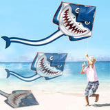 Large Kite with Tail Easy to Assemble Beach Kite for Family Activities Outdoor Games Style 4