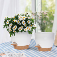 Set of 3Pcs Self Watering Planters for Indoor Plants with Drainage Hole Plastic Pots for Flowers Succulents White