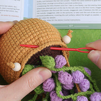 Crochet Kit for Beginners Hanging Potted Plants Crochet Starter Kit Style 2