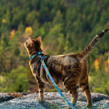 Adjustable Cat Harness and Leash Set Escape Proof Strap for Walking Travel Green