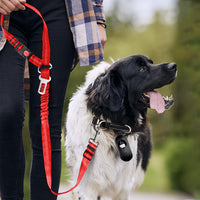 3-in-1 Removable Dog Seat Belt Harness for Car Retractable Reflective Bungee Dog Seatbelt Red