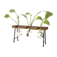 Wooden Stand Hanging Glass Plant Terrarium Container Hydroponics Pot Vase Decor