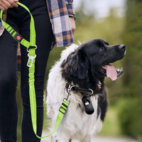 3-in-1 Removable Dog Seat Belt Harness for Car Retractable Reflective Bungee Dog Seatbelt Green