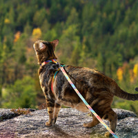 Adjustable Cat Harness and Leash Set Escape Proof Strap for Walking Travel Multicolor