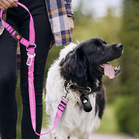 3-in-1 Removable Dog Seat Belt Harness for Car Retractable Reflective Bungee Dog Seatbelt Rose Red