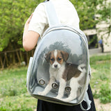 Expandable Travel Cat Backpack Carrier Polarized Tinted Bubble Window Pet Backpack Grey