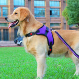 Adjustable Dog Harness No Pull Padded Vest for Small Medium Large Dogs Purple