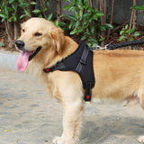 Adjustable Dog Harness No Pull Padded Vest for Small Medium Large Dogs Black