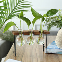 Wooden Stand Hanging Glass Plant Terrarium Container Hydroponics Pot Vase Decor