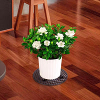 5Pcs Set Plant Level Pot Raiser Potted Plant Stands for Indoor Outdoor Garden