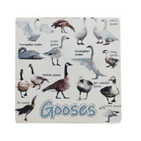 Set of 6  Funny Bird Pun Coasters Square Drink Cup Pad for Home Kitchen Bar Decor