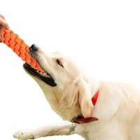 10Pcs Set Dog Chew Bite Toy Pet Braided Rope Toys Teeth Cleaning Toys Style 2