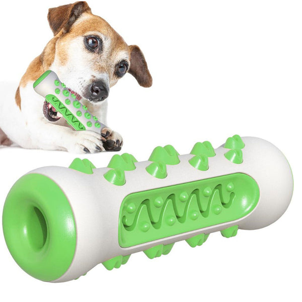 Dog Bone Chew Toy Teeth Cleaning Training Dog Toy Green