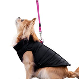 Winter Pet Waistcoat Zipper Clousure Warm Sleeveless Coat for Going Out Black