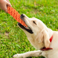 10Pcs Set Dog Chew Bite Toy Pet Braided Rope Toys Teeth Cleaning Toys Style 2