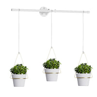 Detachable Triflora Hanging Planter for Window Garden Indoor Outdoor Gold